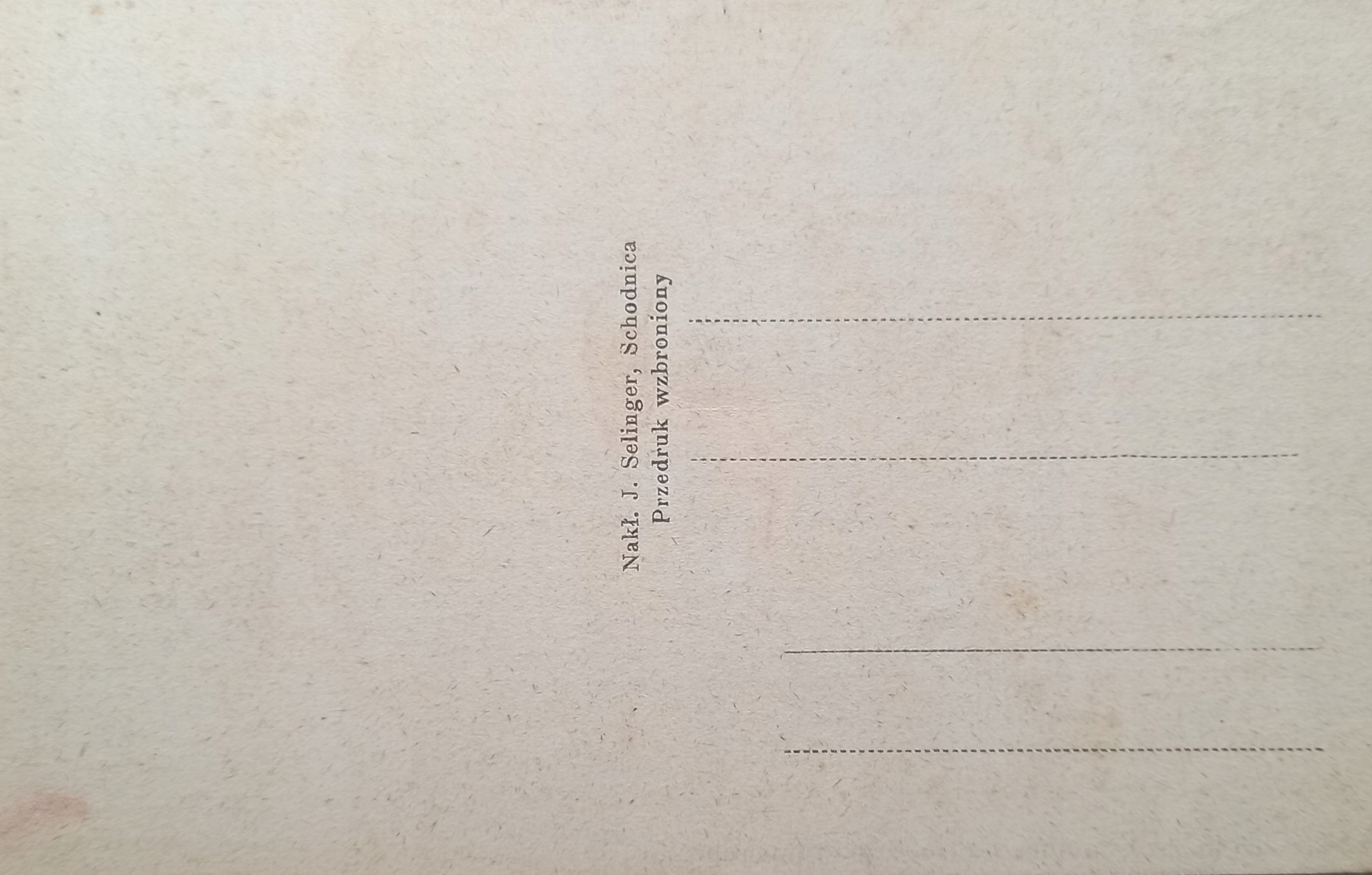 17736931117