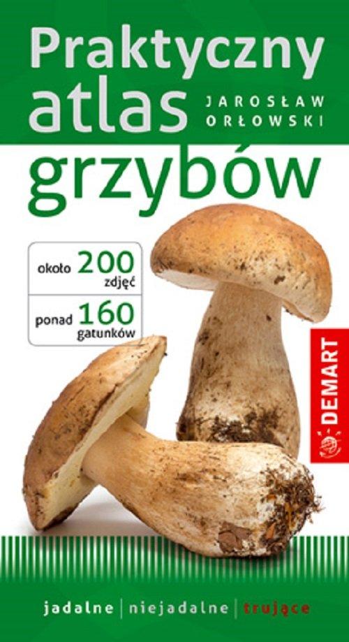 18235037052