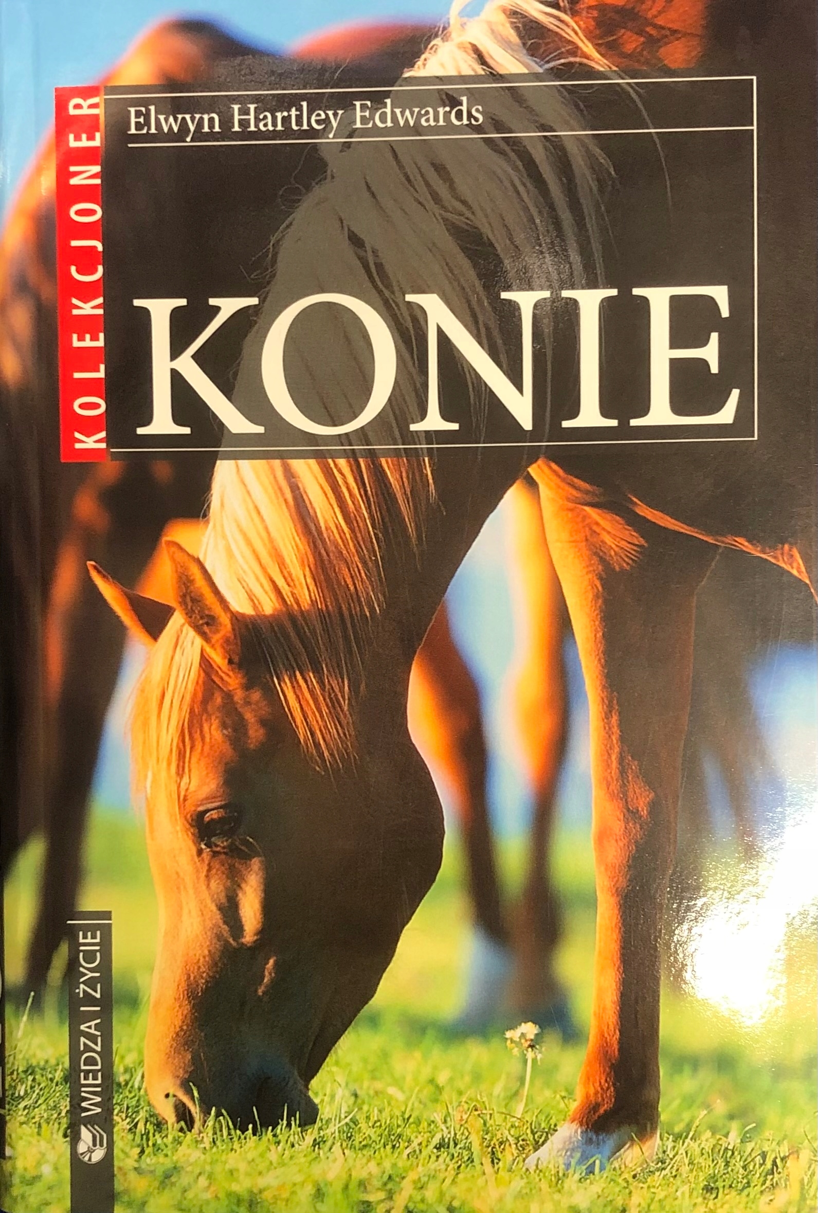 18278106043