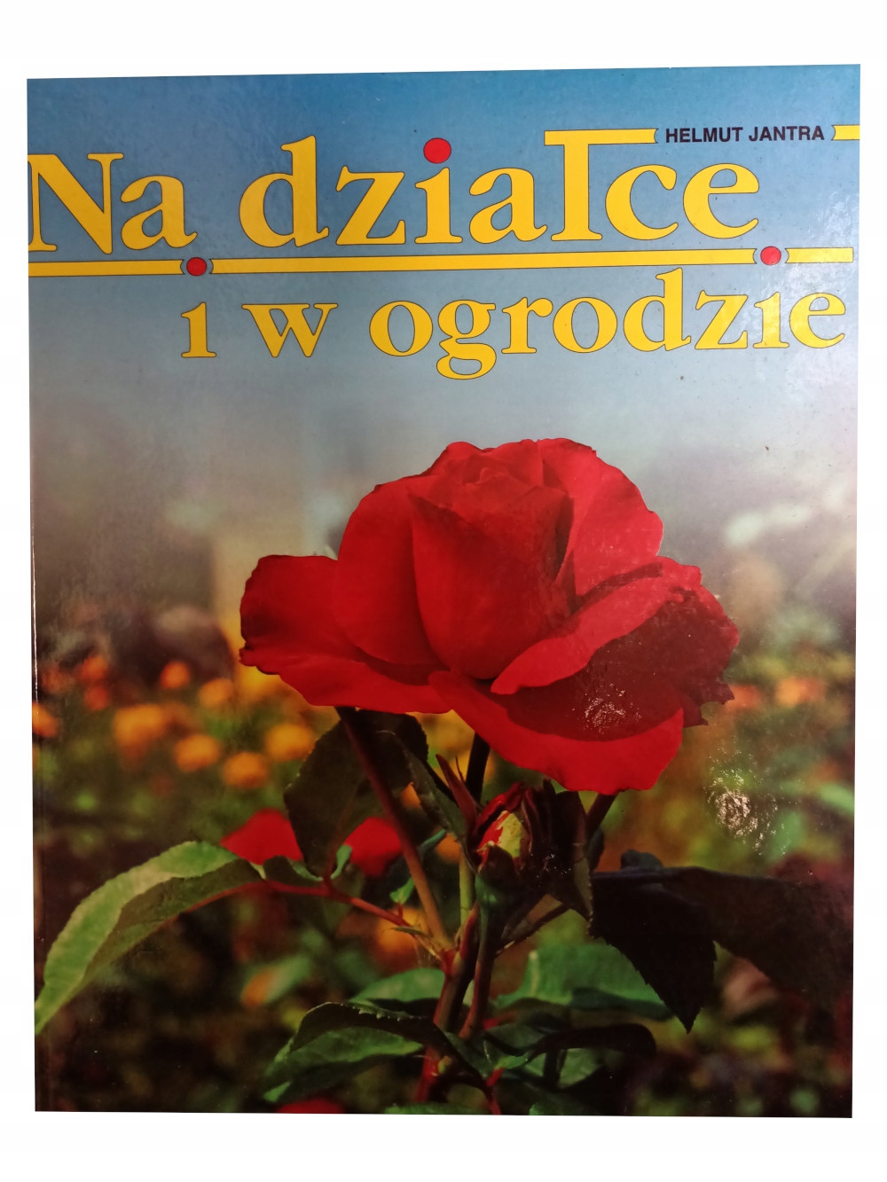 13204062510