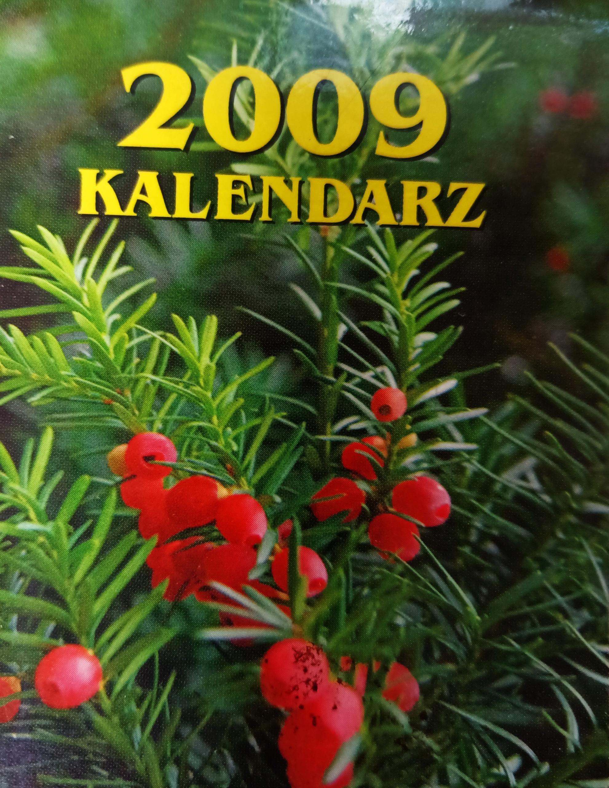 15160857808