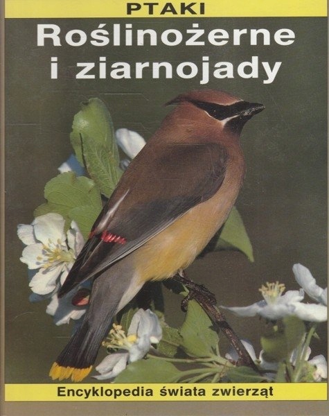 15650572873