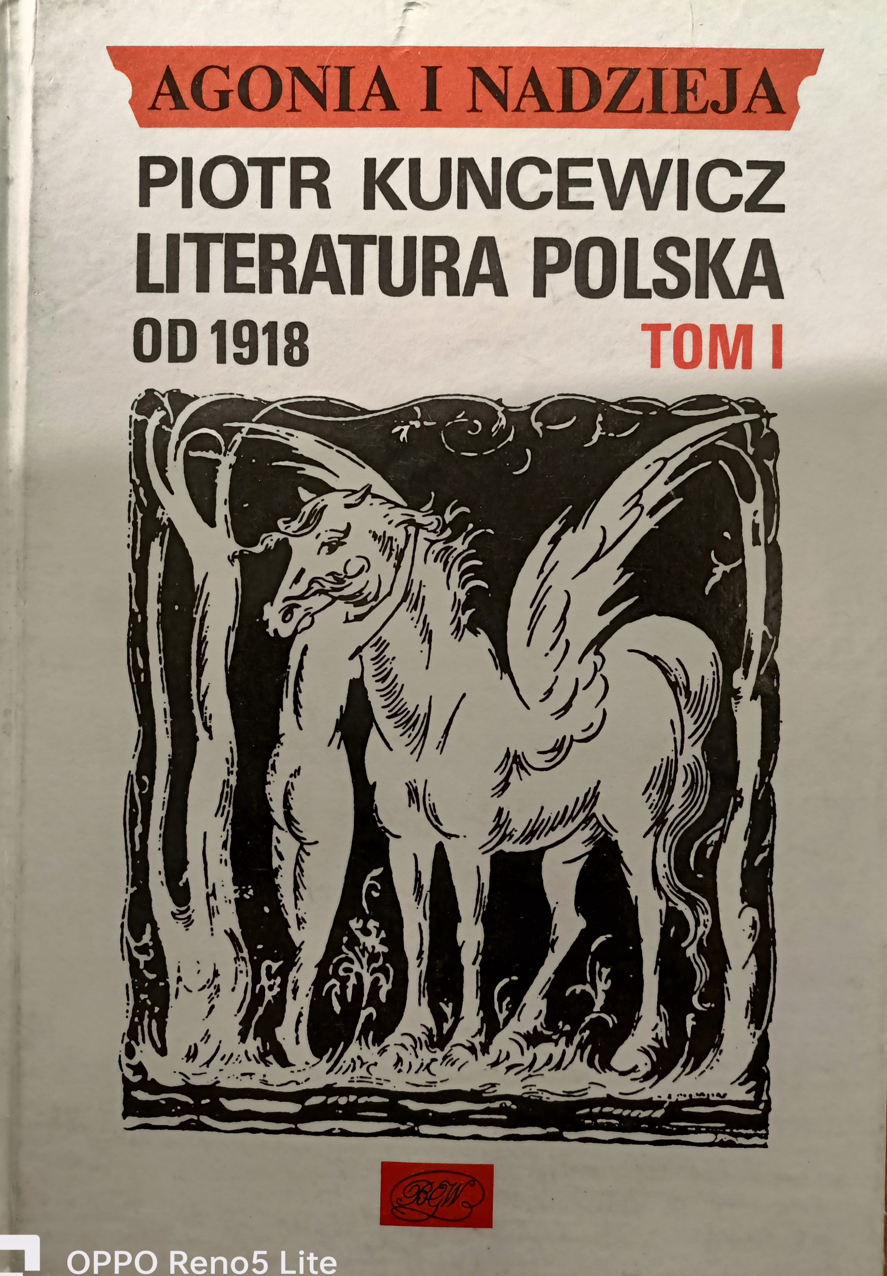 17272174804