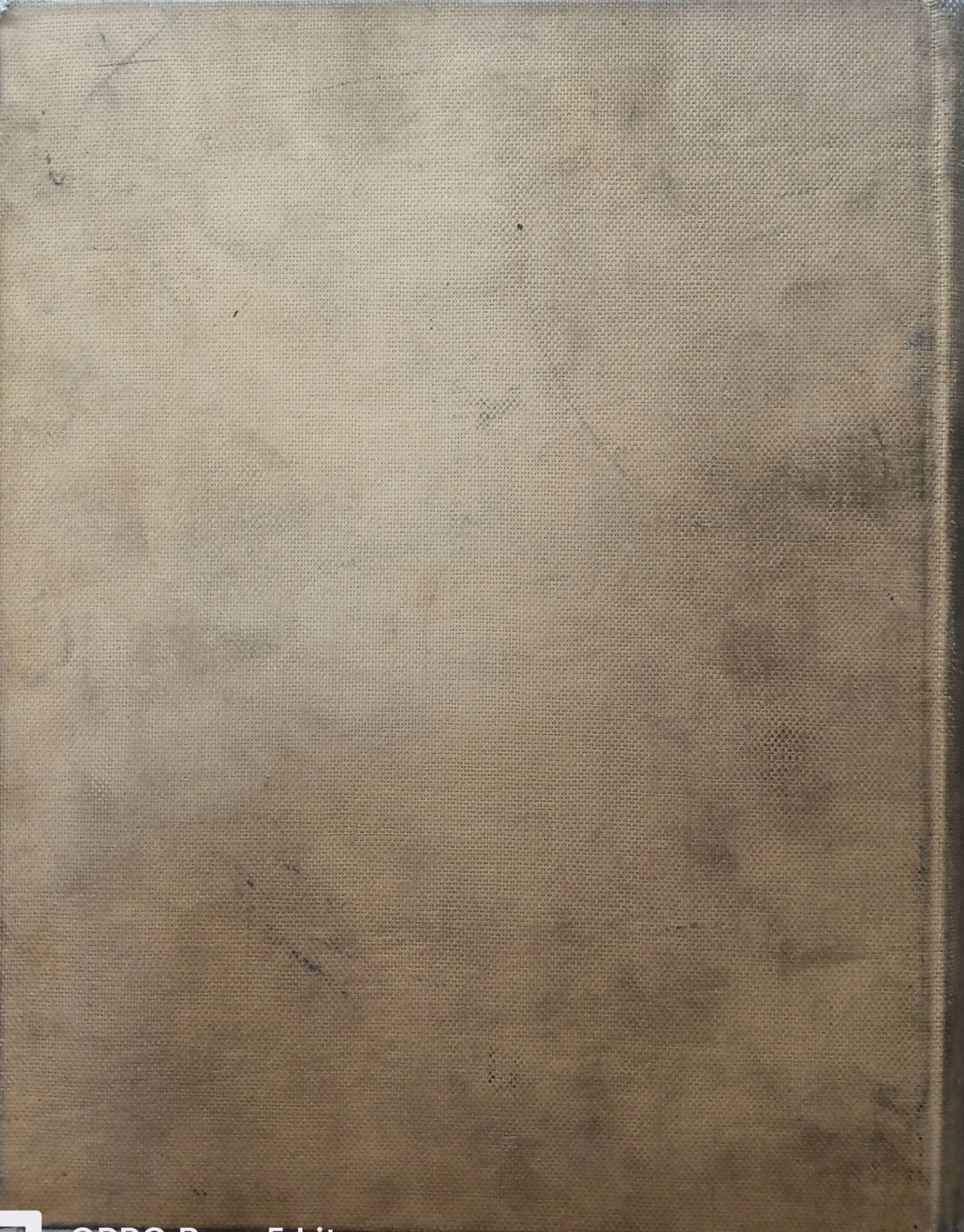 17291013553