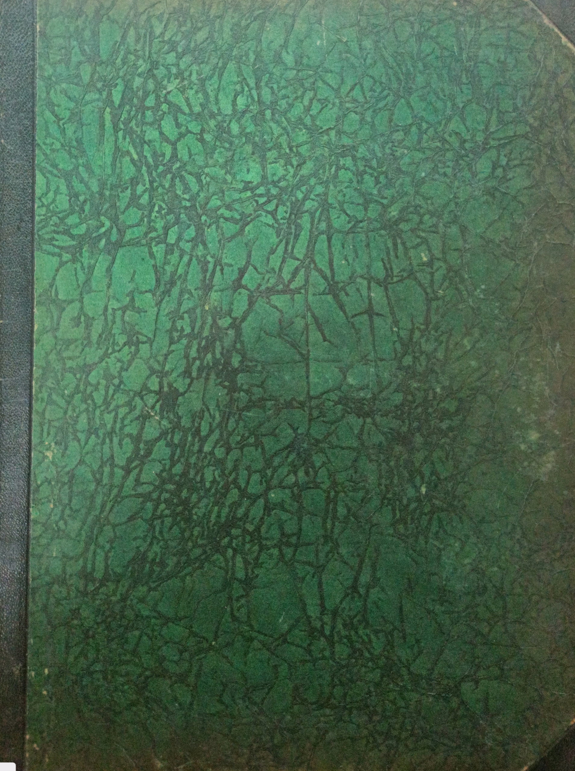 17293299823