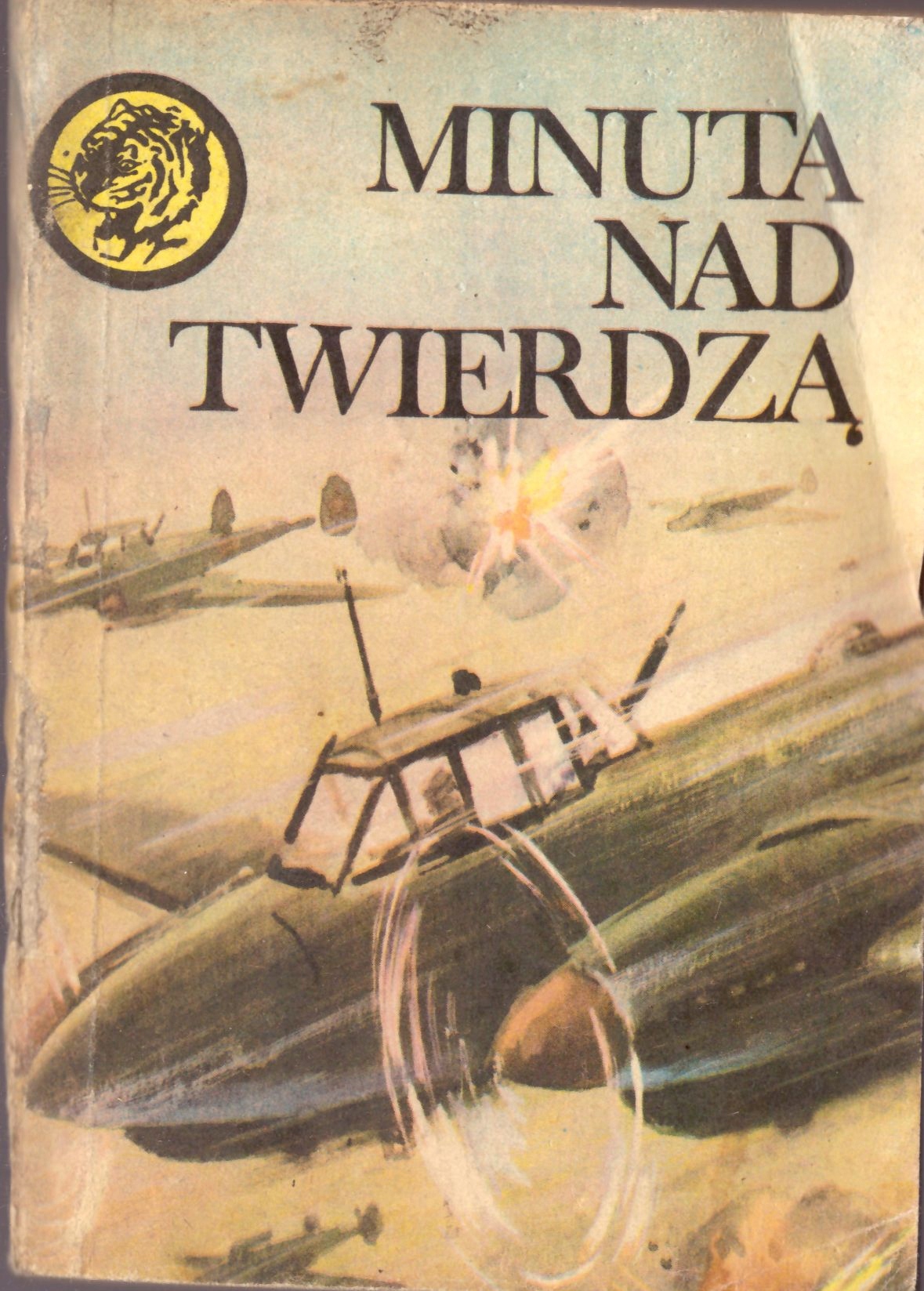 17314801694